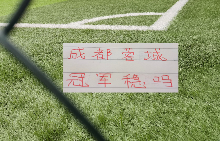 成都蓉城迎战卫冕冠军海港,中超第28轮焦点战前瞻