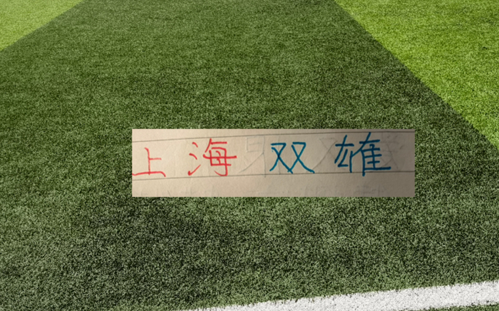 中超冠军+降级悬念未解：成都蓉城、大连英博、武汉三镇关键战在即