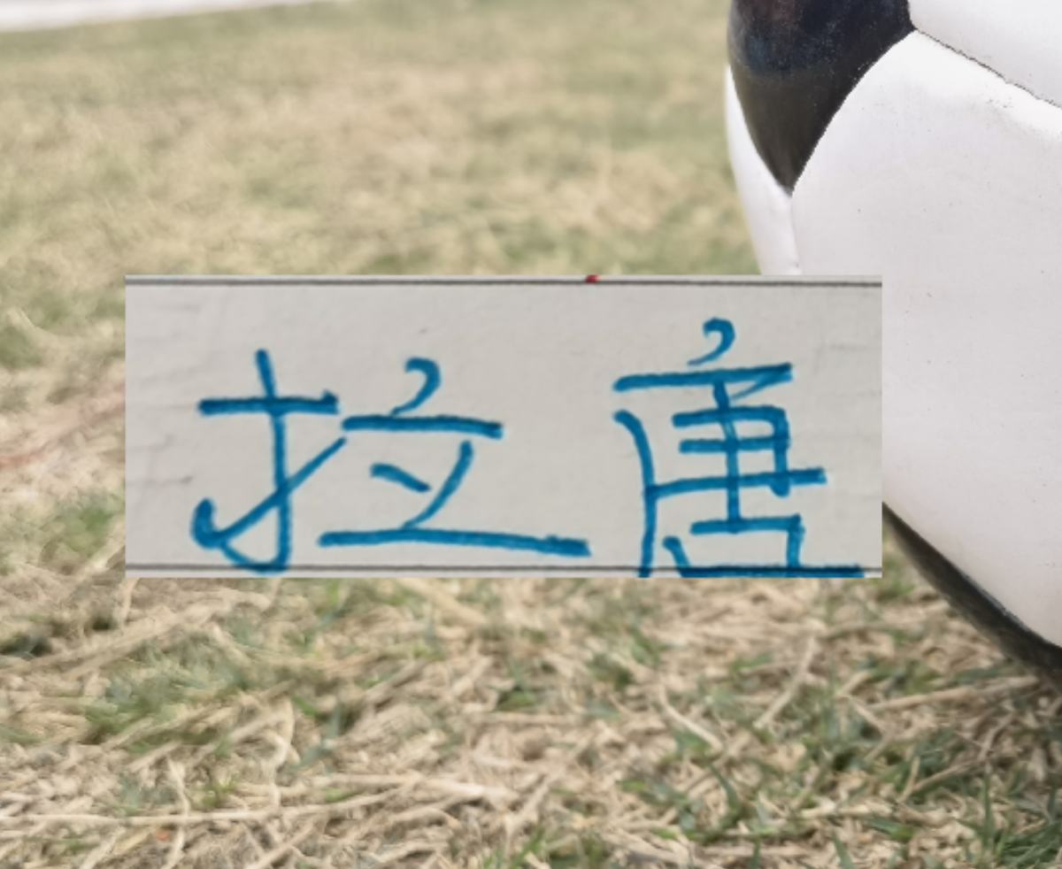 中超射手榜:拉唐19球距榜首1球 申花多年无金靴今年或现转机