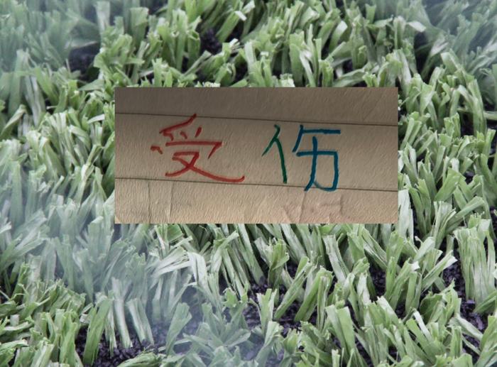 申花亚冠战平柴桢 阿苏埃刘诚宇伤退蒋圣龙未出场