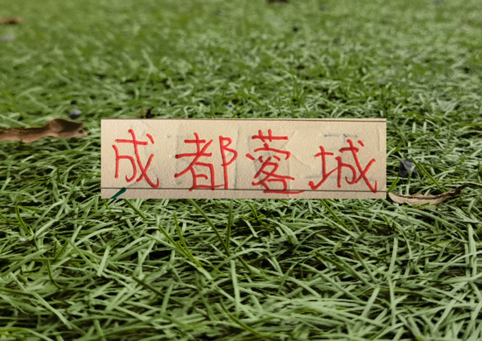 成都蓉城遇海港后战绩骤变 中超争冠形势生变