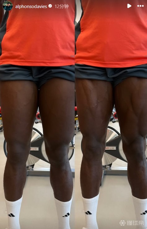 戴维斯强势回归在即，拜仁球迷别再单纯靠希望了