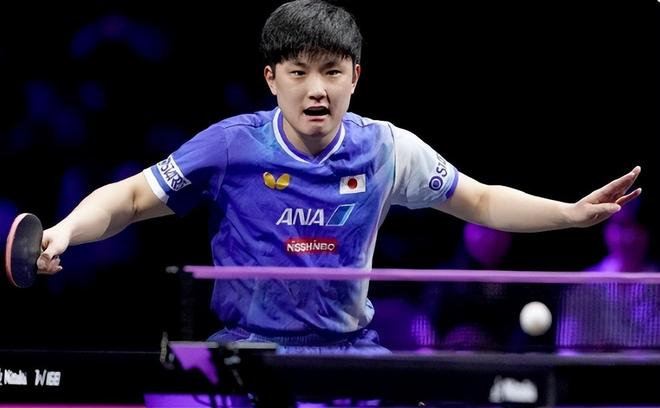 日本网友热议张本不满王皓：过于敏感神经质 盖头挑战在先 太情绪化