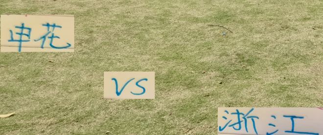 申花对阵浙江：双方大牌球星能否发挥出色？