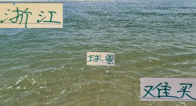 没想到！浙江也加入了球票难买行列