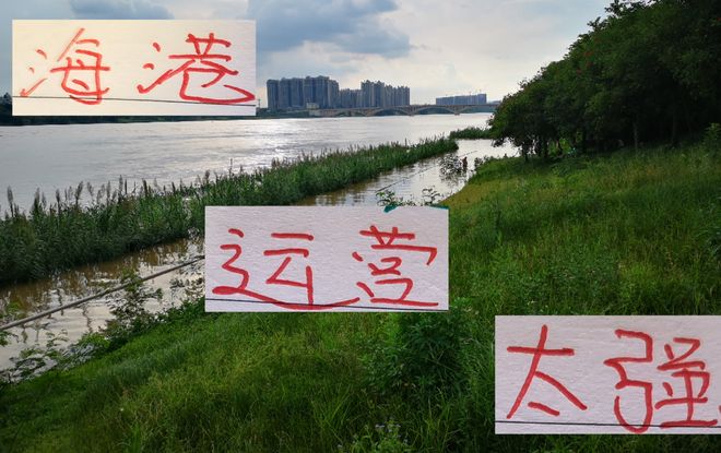 别只盯着钱，看看上海海港这三年教练和引援的教科书式运营