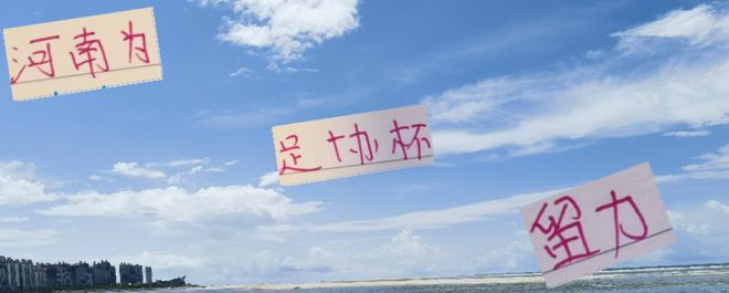 中超博弈，河南为足协杯留力，结果让申花三轮不胜，谁来负责