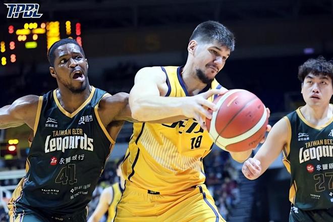 托多罗维奇回归新北特攻，TPBL内线再添猛将，别再当摆设了