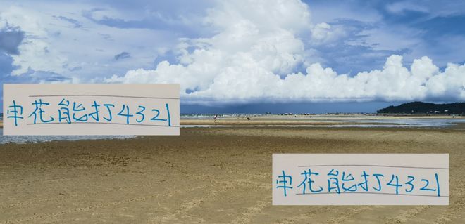 申花超级杯冠军没用？中超赛季的伤病与阵型迷局