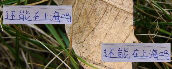 上海足球王朝还能续写吗？海港申花的冠军争夺战瞄上了2024年