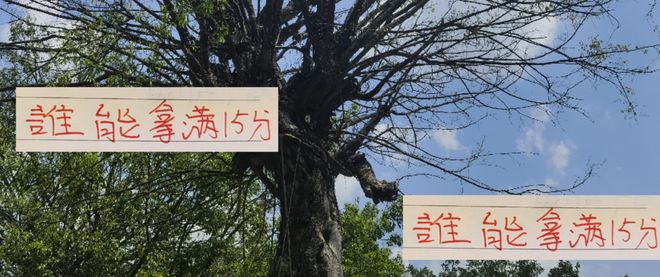 申花中超夺冠悬念难续，亚冠失利暴露实力短板