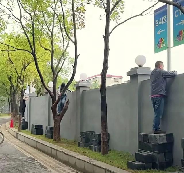 永州足球奇招“砖票”上线，球迷踩砖看球成新潮流